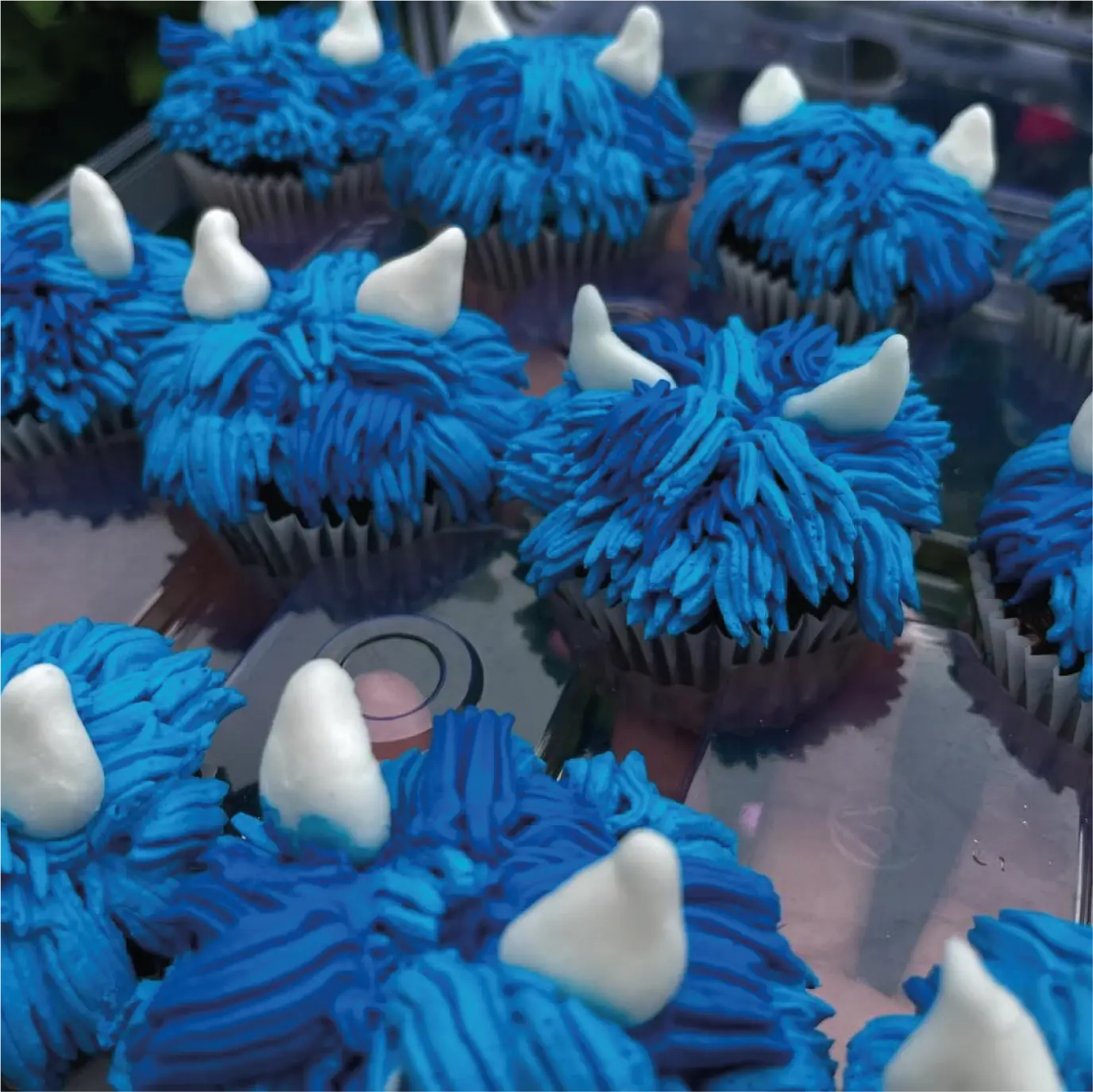 Cupcakes - Noli's factory